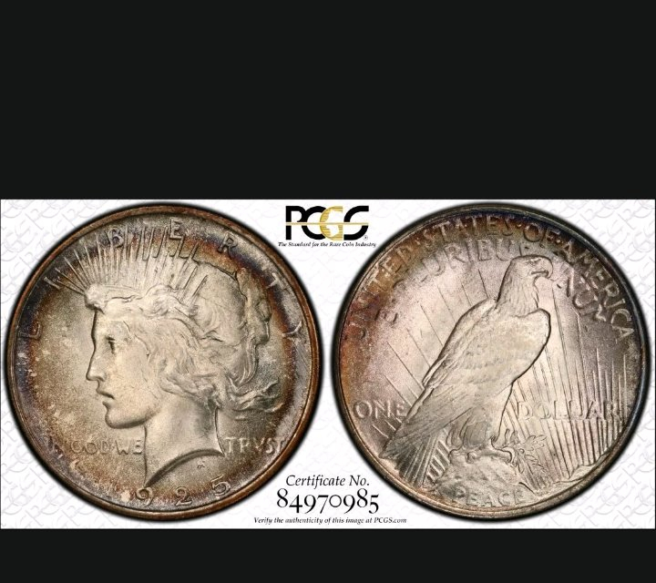 Naturally-Toned-Or-Artificially-Toned?-1925-Peace-Dollar
